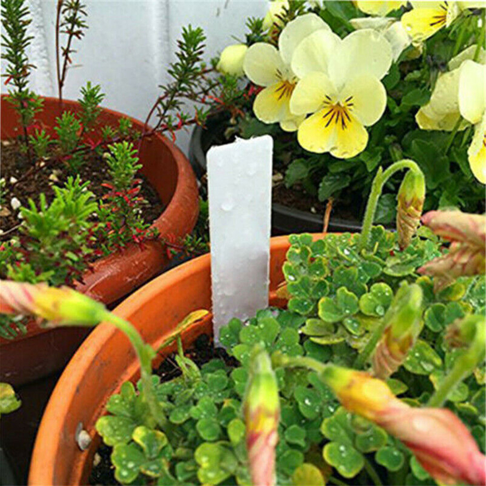 100pcs Plants Labels Indoor Bo – Bonsai Garden Name Bewertung und Preis