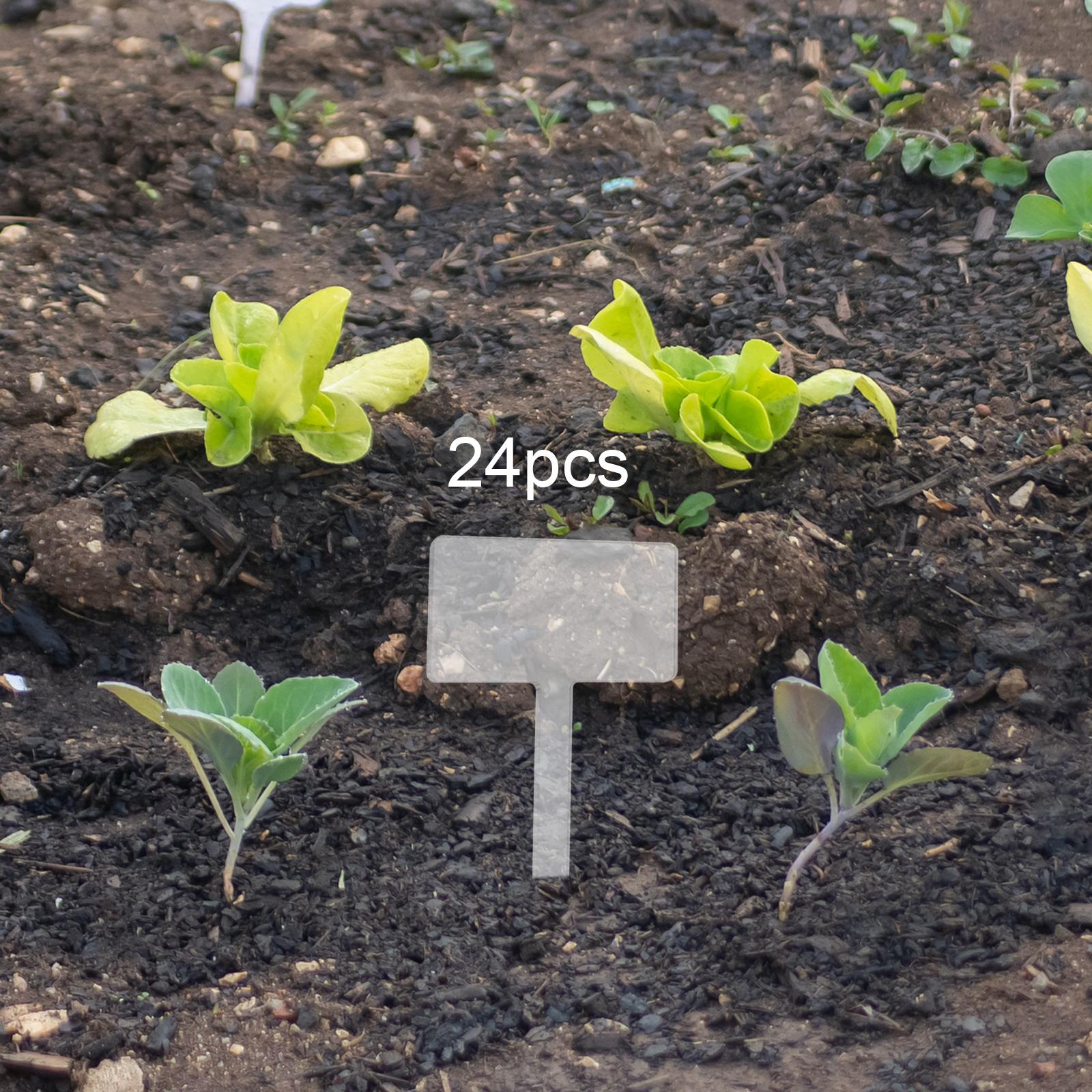 24x Acrylic Plant Tag Plant Na – Bonsai Garden Name Bewertung und Preis